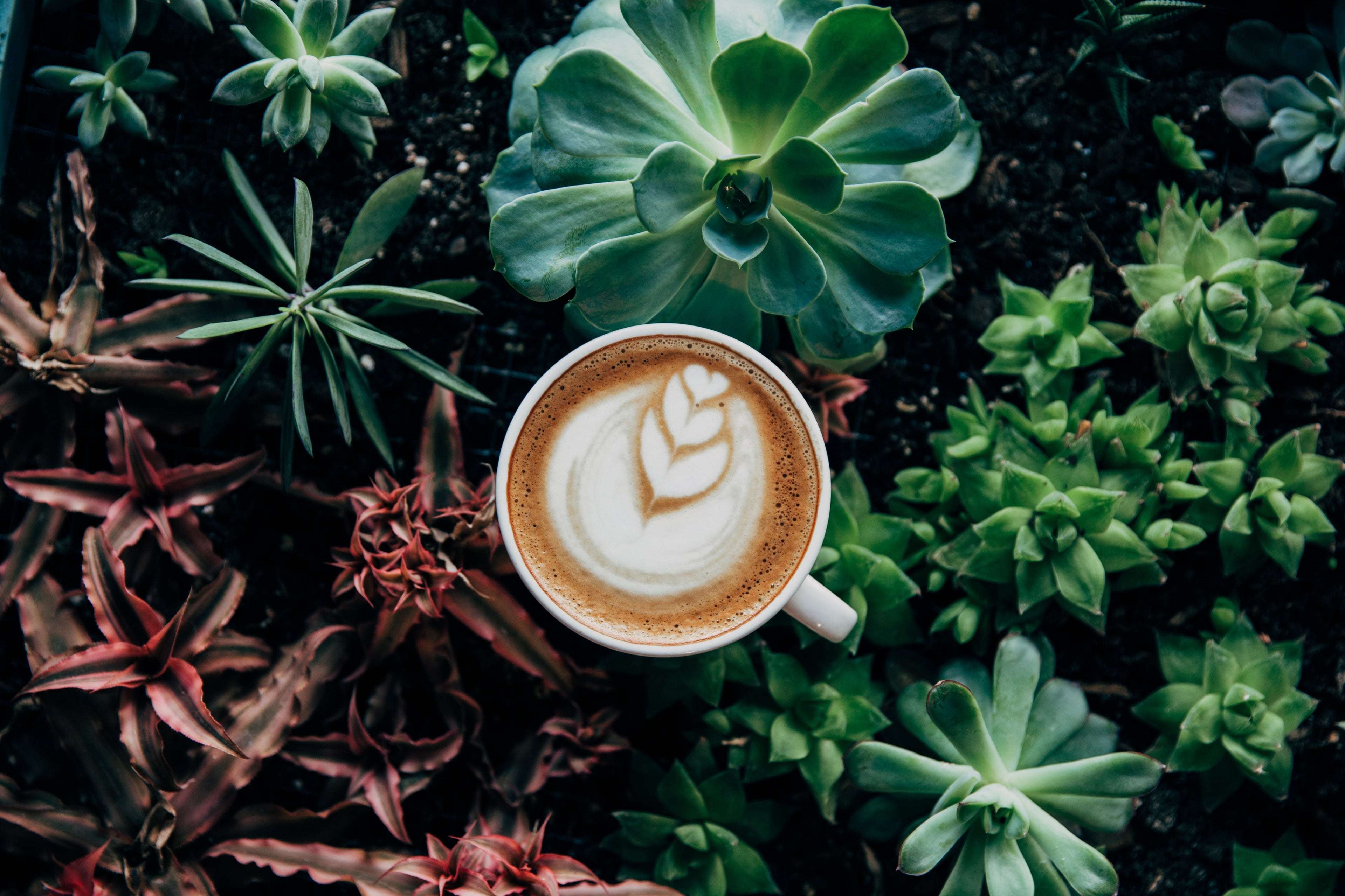 How Coffee Shapes Cultures Around the World