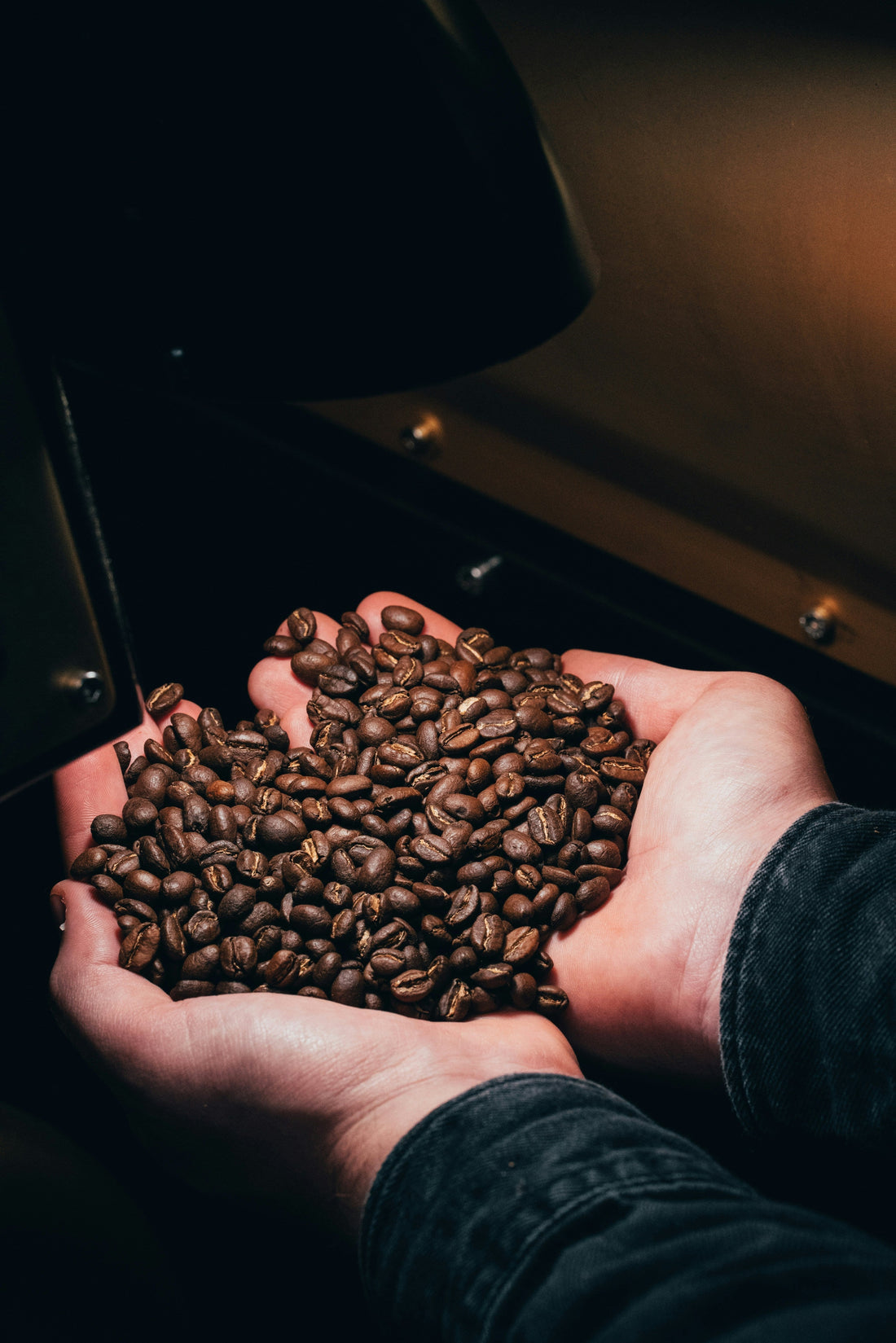 The Science of Freshness: How to Store Your Beans Right