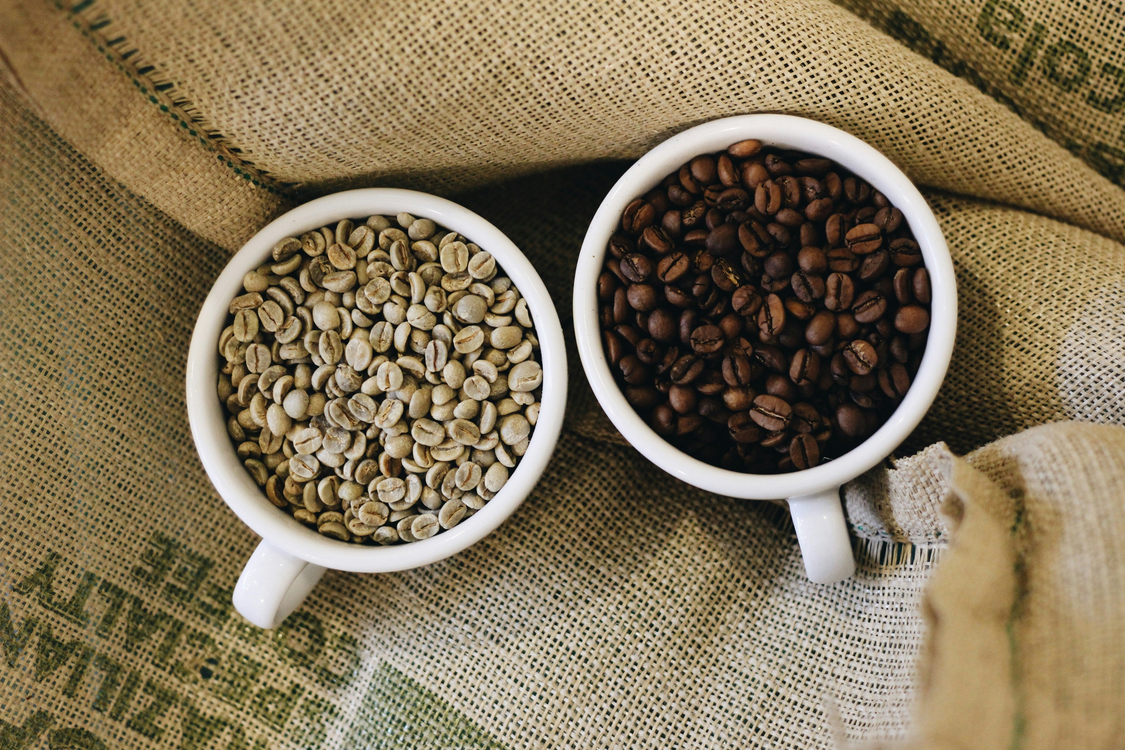 The Roast Spectrum Explained: From Light to Dark and Everything Between