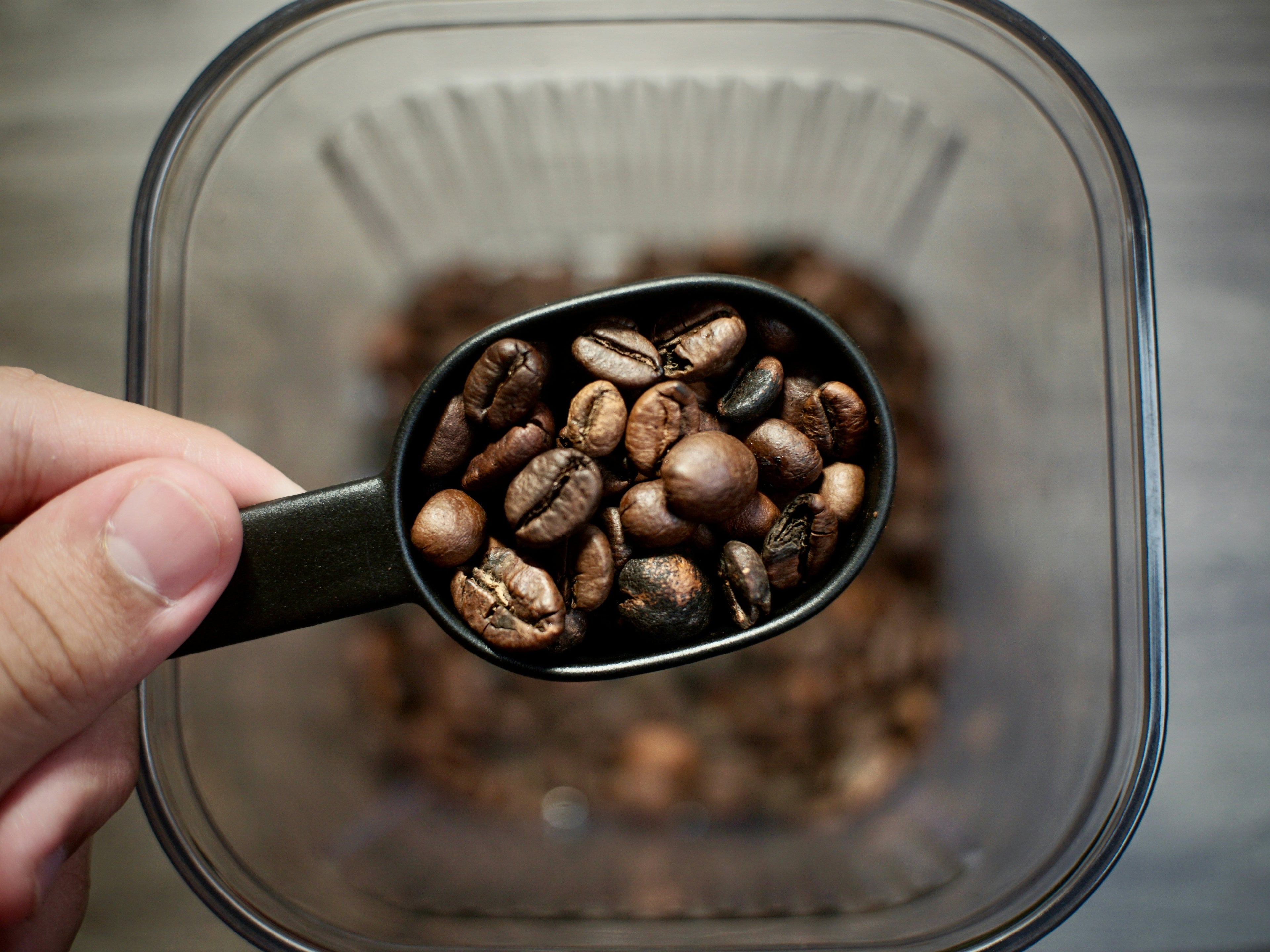 Spring Cleaning for Your Coffee Routine: How to Refresh Your Gear and Brew Better Coffee