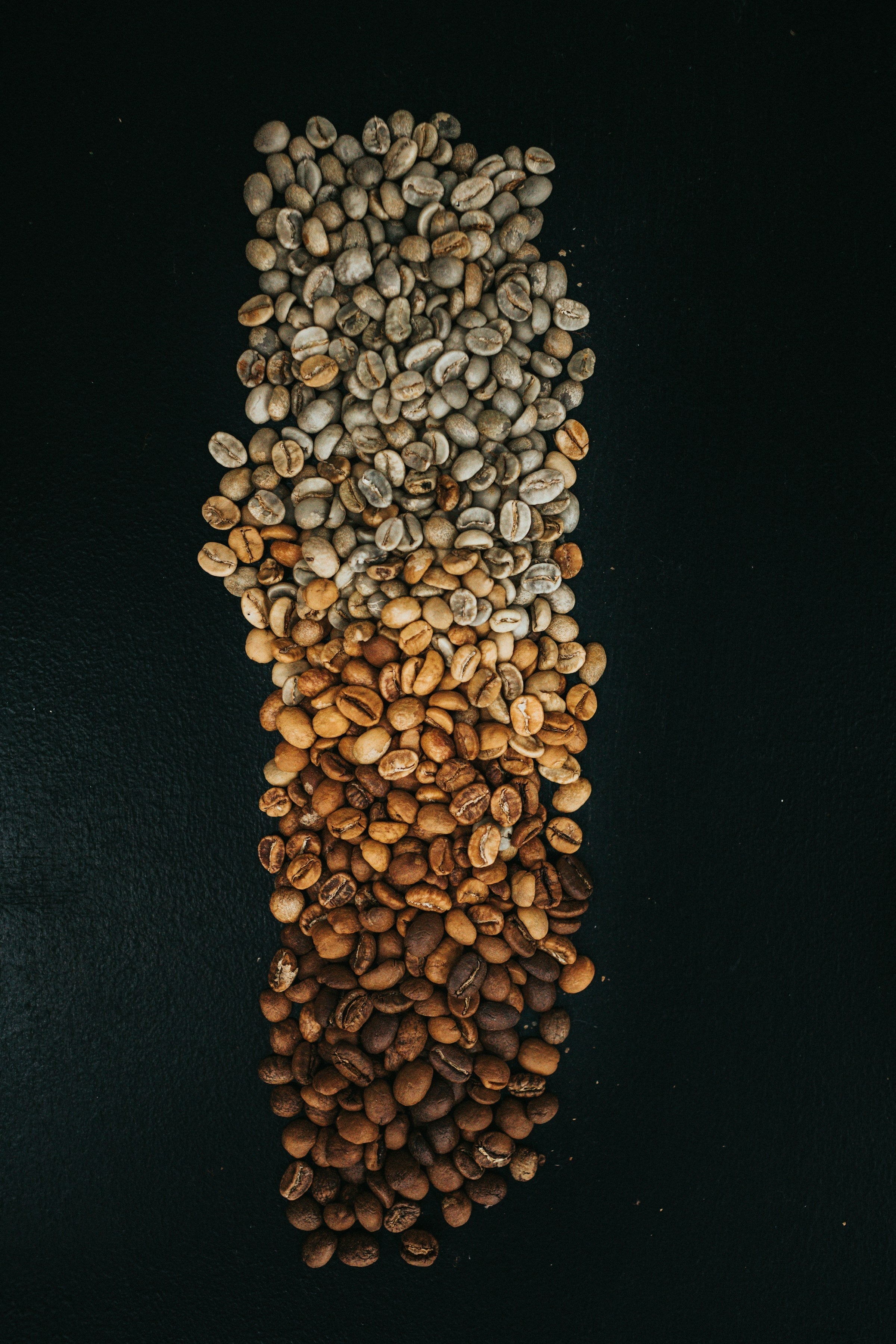 Light vs Dark Roast: What’s the Real Difference (and Which One’s for You?)